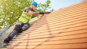 Best Roof Maintenance and Cleaning  in Olivet, MI