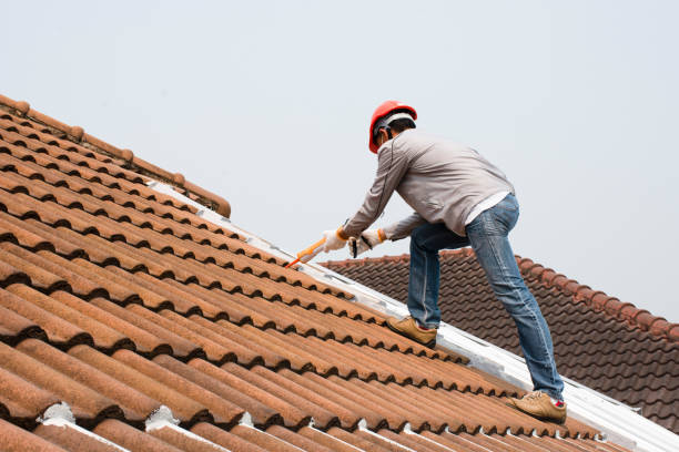 Roof Coating Services in Olivet, MI