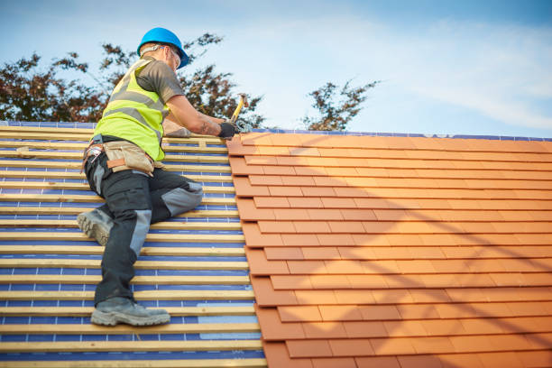 Best Chimney Flashing Repair  in Olivet, MI